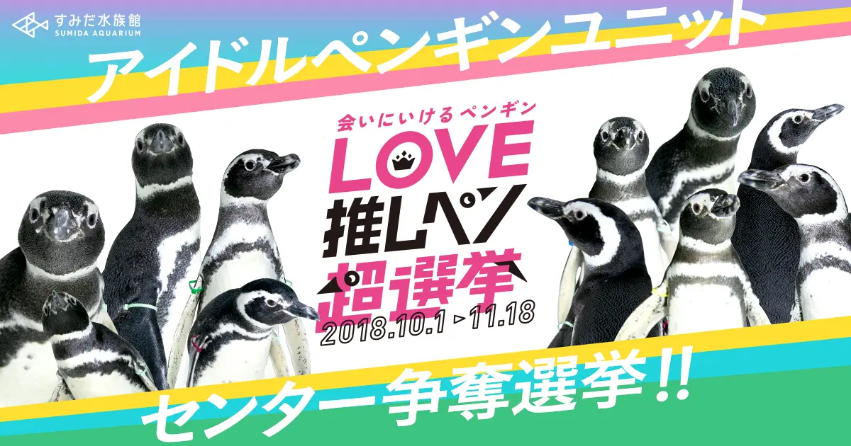すみだ水族館：ペンギンたちの恋愛模様を“推す”「LOVE推しペン超選挙」
